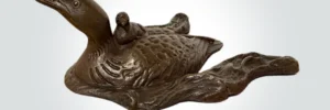 David Smus Loon