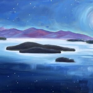Midnight Moonlight
