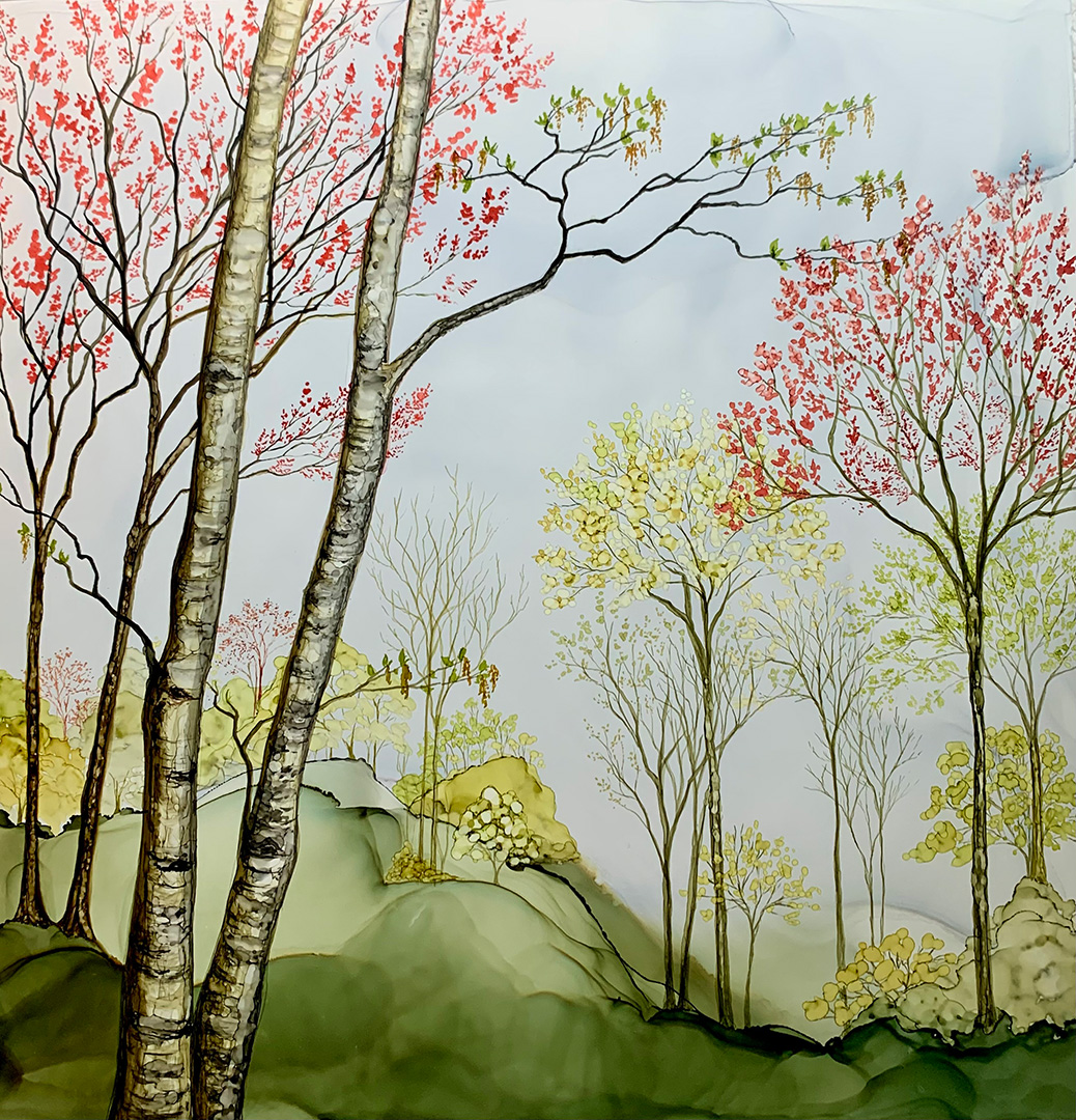 Aimee Tiede