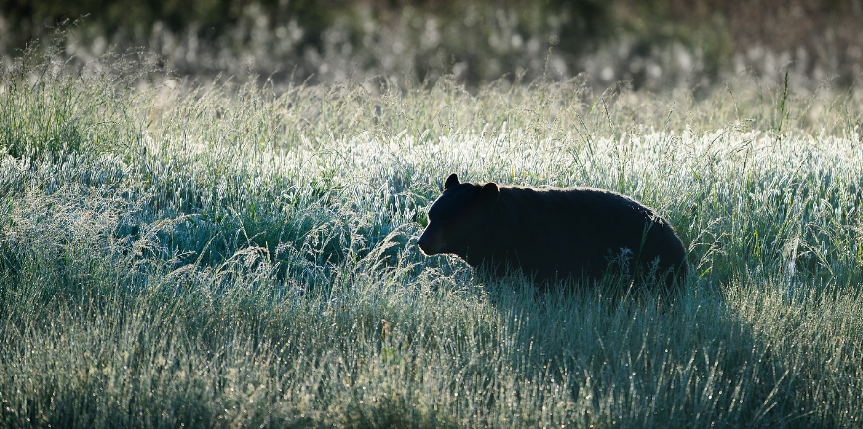 Jeremy Bonin